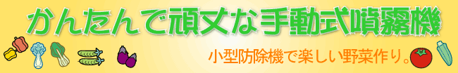 蓮@