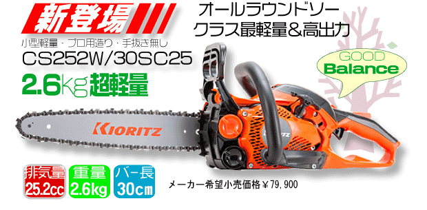 CS252W