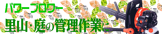p[u[