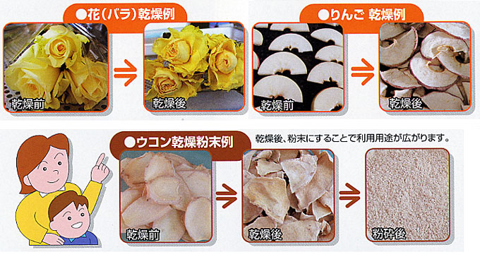 sample2